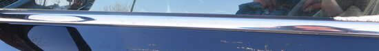 IMG_0643_cr.jpg