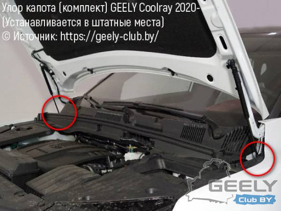 упоры капота geely goolray sx11_red.jpg