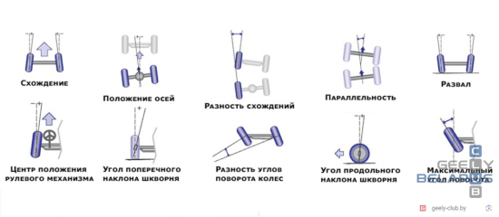 IMG_9596.png